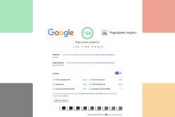 How to optimize WordPress loading time  • Google Page Speed 100/100