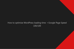 How to optimize WordPress loading time  • Google Page Speed 100/100